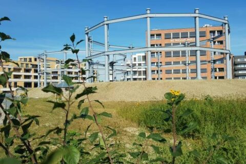 242317584 1289229861522334 537685283318600110 n 1