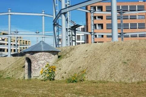 242414892 549393409503398 4721315881704731546 n 1